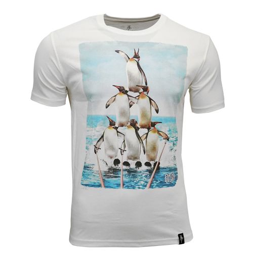 DIRTY VELVET Herren T-Shirt TEAM ANTARCTIC